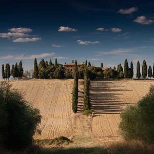 Moisturizing Face Cream (Day)