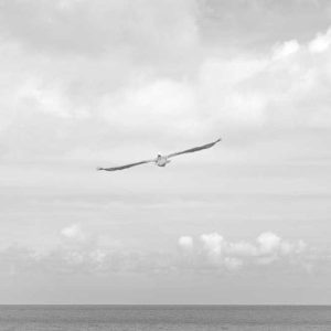 E-Reader Tablet (7-inch)