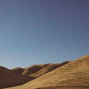 Car Phone Mount (Magnetic)