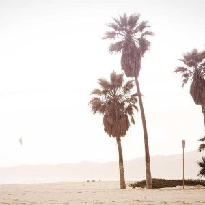 Digital SLR Camera Body